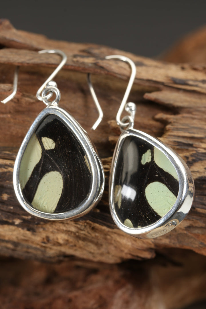 Stelenes Butterfly Dangle Earrings TF706