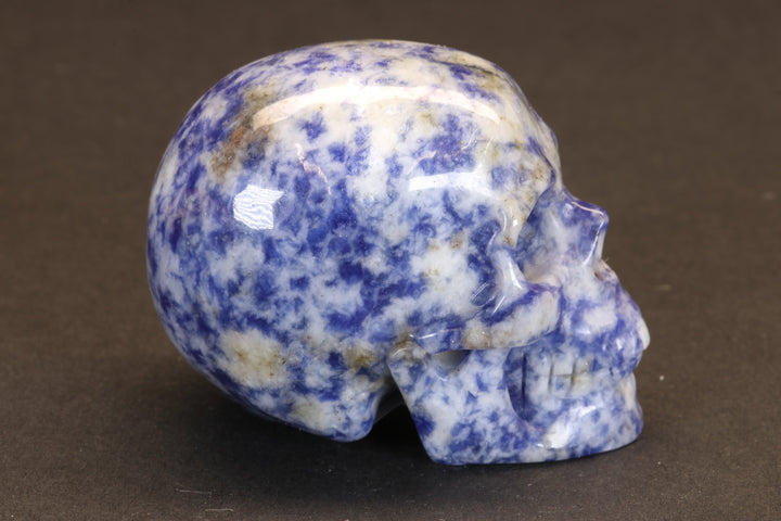 Sodalite Skull TU1264