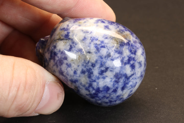 Sodalite Skull TU1264