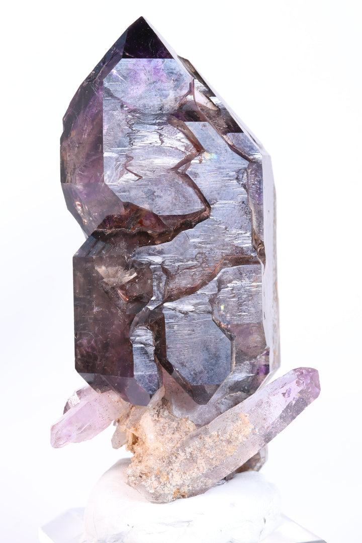 4" Shangaan Amethyst Scepter with Moving Enhydro TU133
