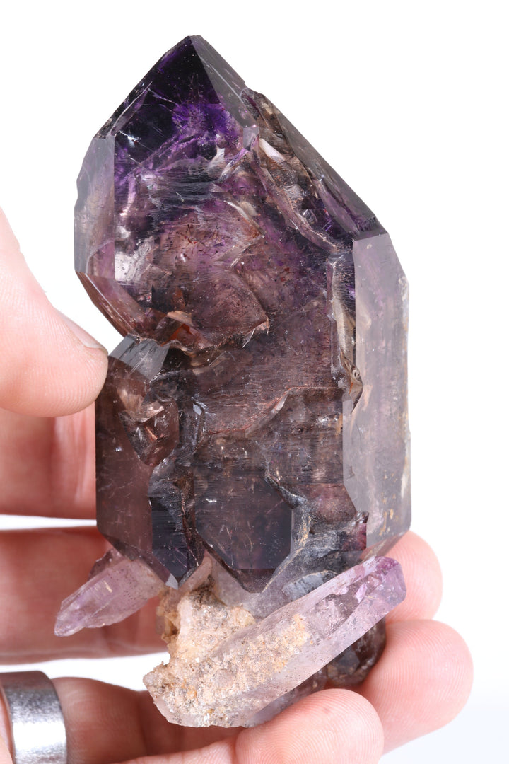 4" Shangaan Amethyst Scepter with Moving Enhydro TU133