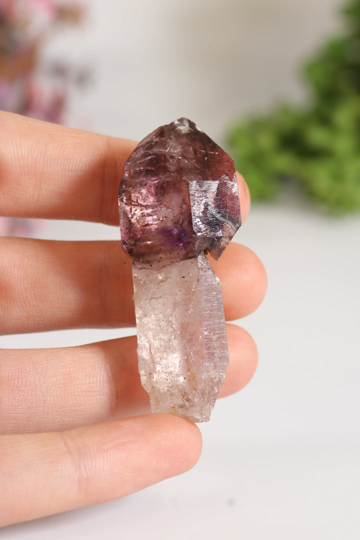 Shangaan Amethyst Sceptor TU1788