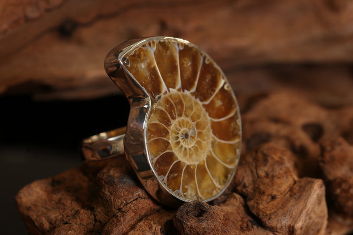 Ammonite Ring Size 5 DS1944