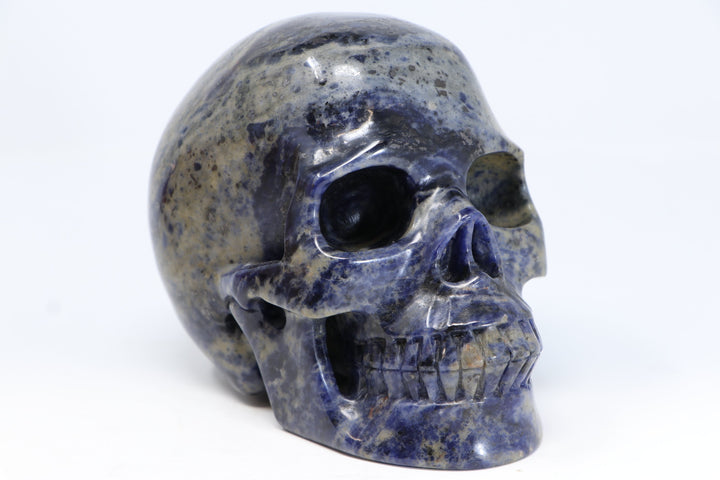 Sodalite Skull Carving TU2210