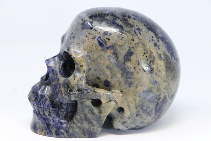 Sodalite Skull Carving TU2210