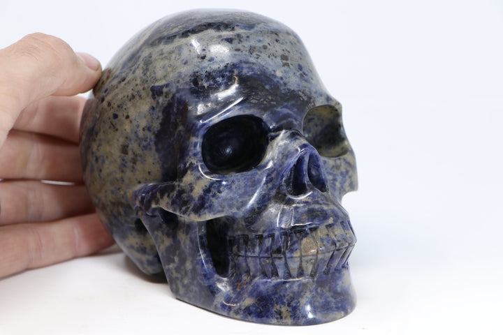 Sodalite Skull Carving TU2210