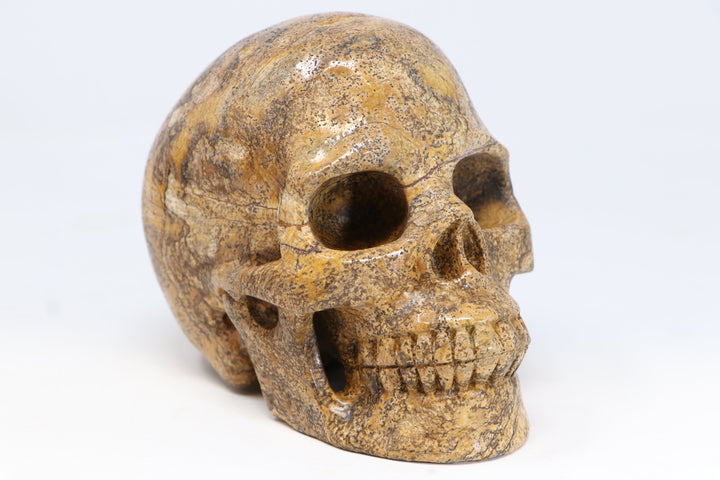 5" Dendritic Siltstone Crystal Skull TU2846