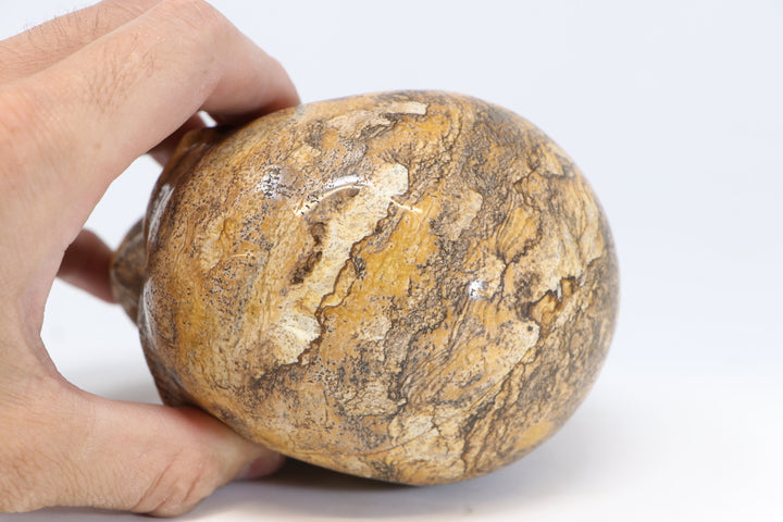 5" Dendritic Siltstone Crystal Skull TU2846