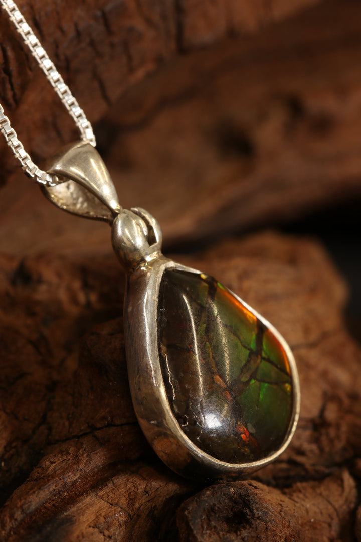 Ammolite Pendant DS1921