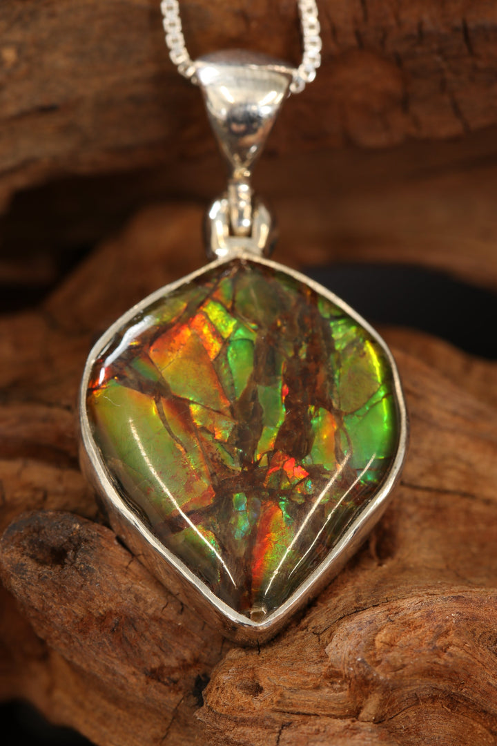 Ammolite Pendant DS1915