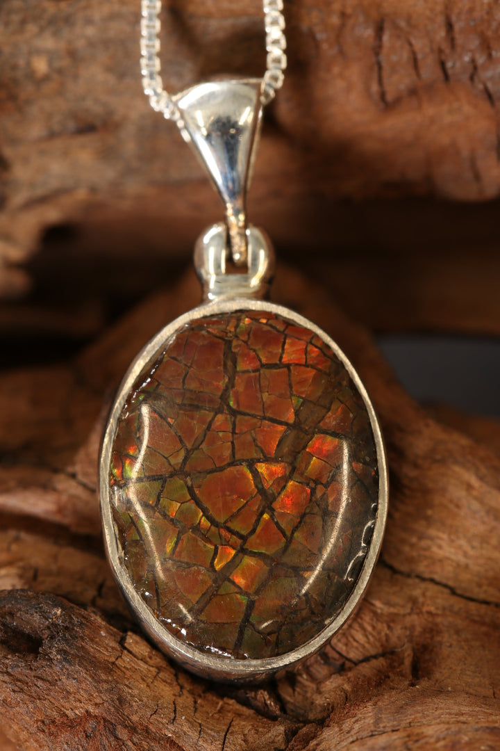Ammolite Pendant DS1927