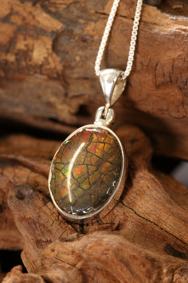Ammolite Pendant DS1927