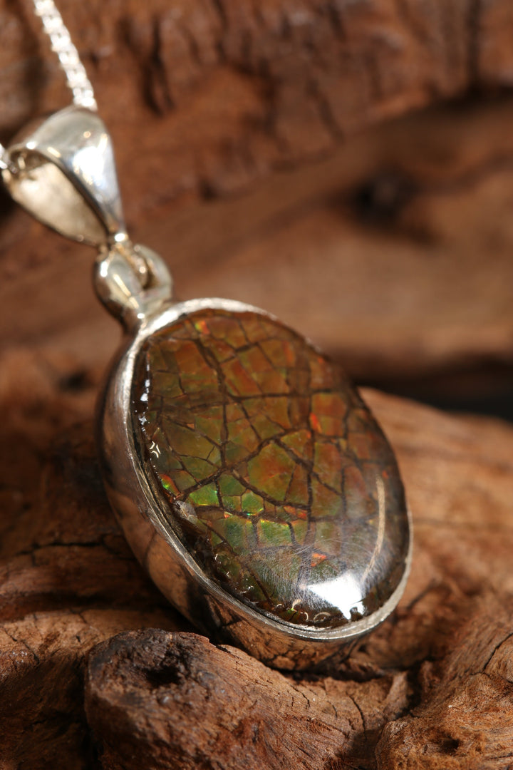 Ammolite Pendant DS1927