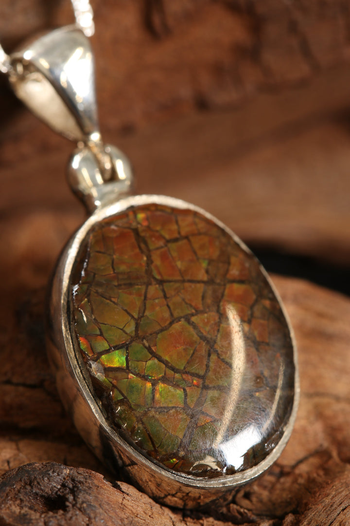 Ammolite Pendant DS1927