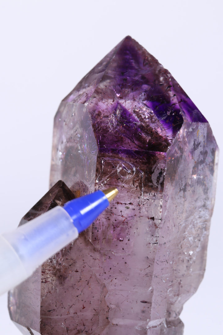 3" Shangaan Amethyst Scepter with 2 Enhydros TU2910