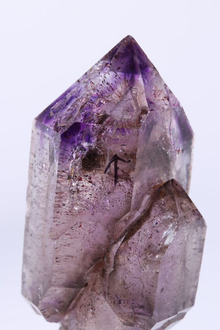 3" Shangaan Amethyst Scepter with 2 Enhydros TU2910