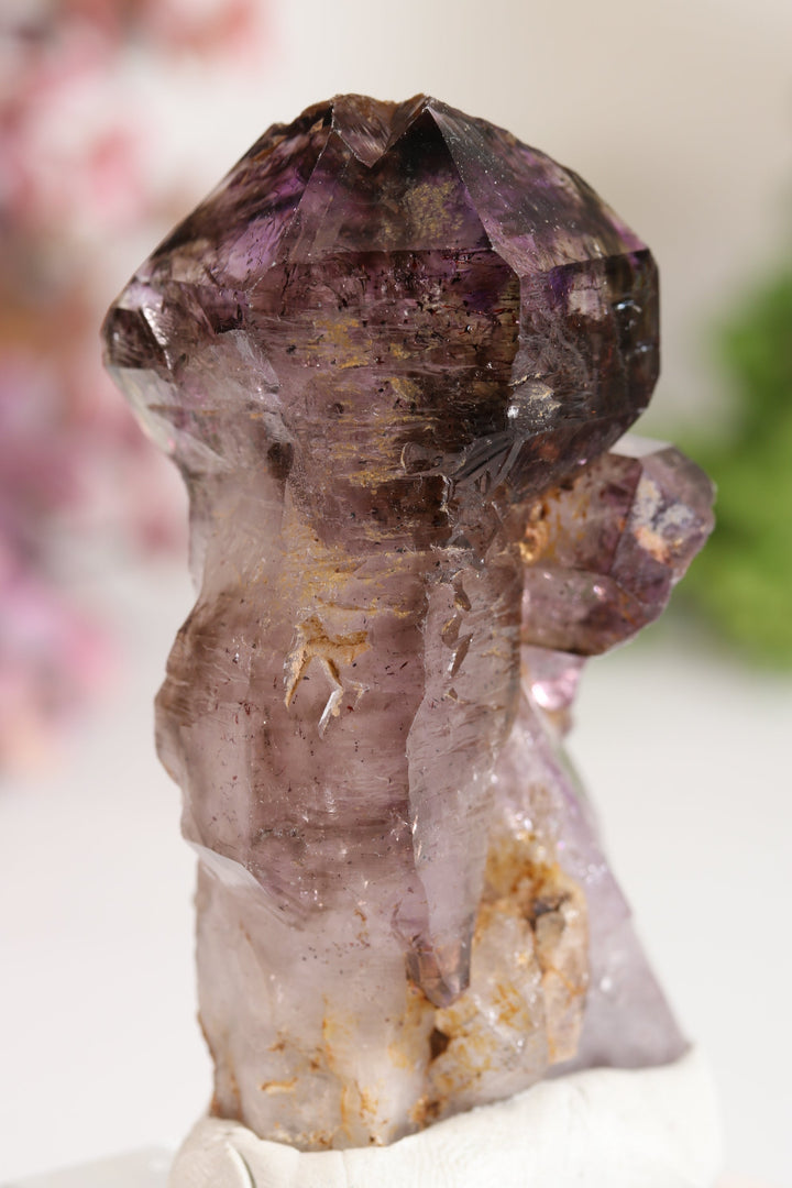 Shangaan Amethyst Sceptor TU2950