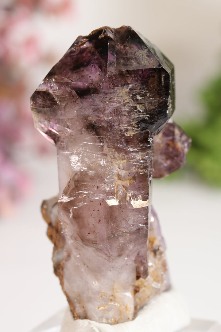 Shangaan Amethyst Sceptor TU2950