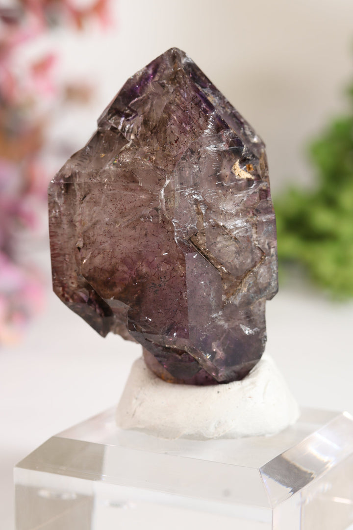 Shangaan Amethyst Sceptor with Enhydro TU2955
