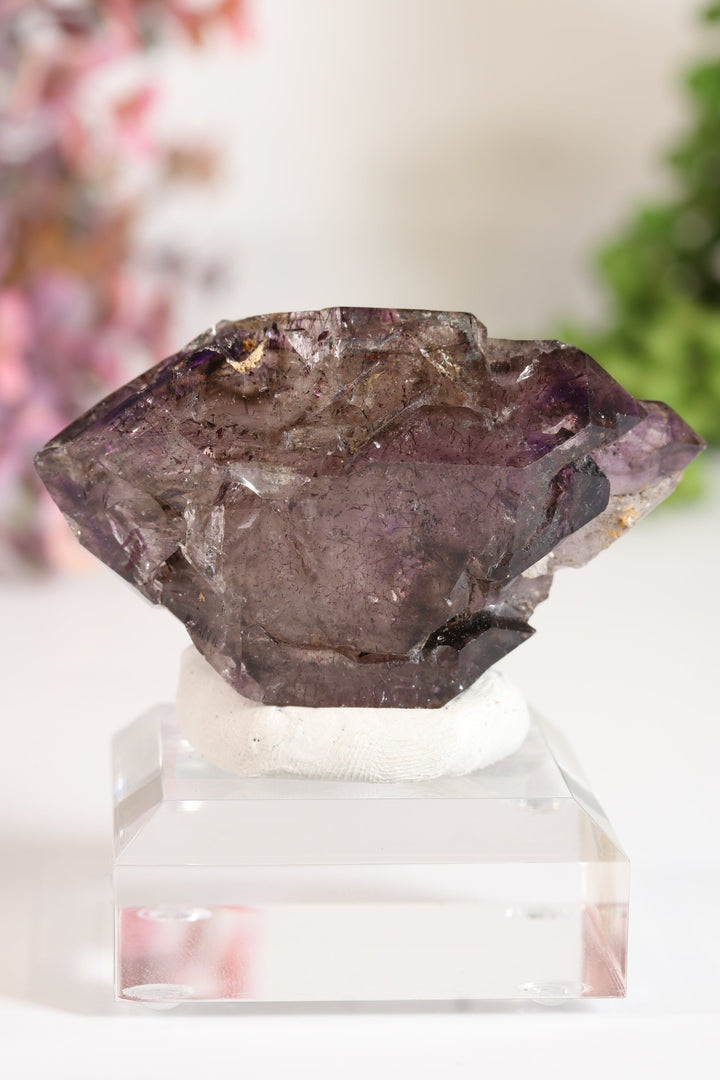 Shangaan Amethyst Sceptor with Enhydro TU2955