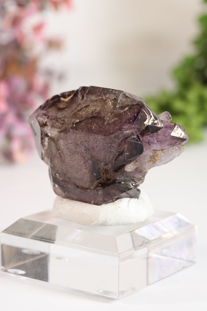 Shangaan Amethyst Sceptor with Enhydro TU2955