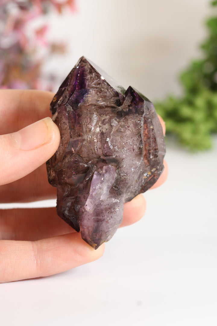 Shangaan Amethyst Sceptor with Enhydro TU2955