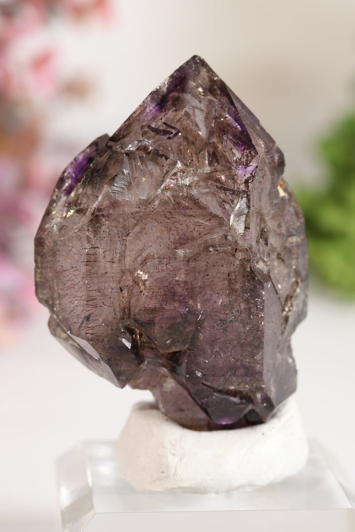 Shangaan Amethyst Sceptor with Enhydro TU2955