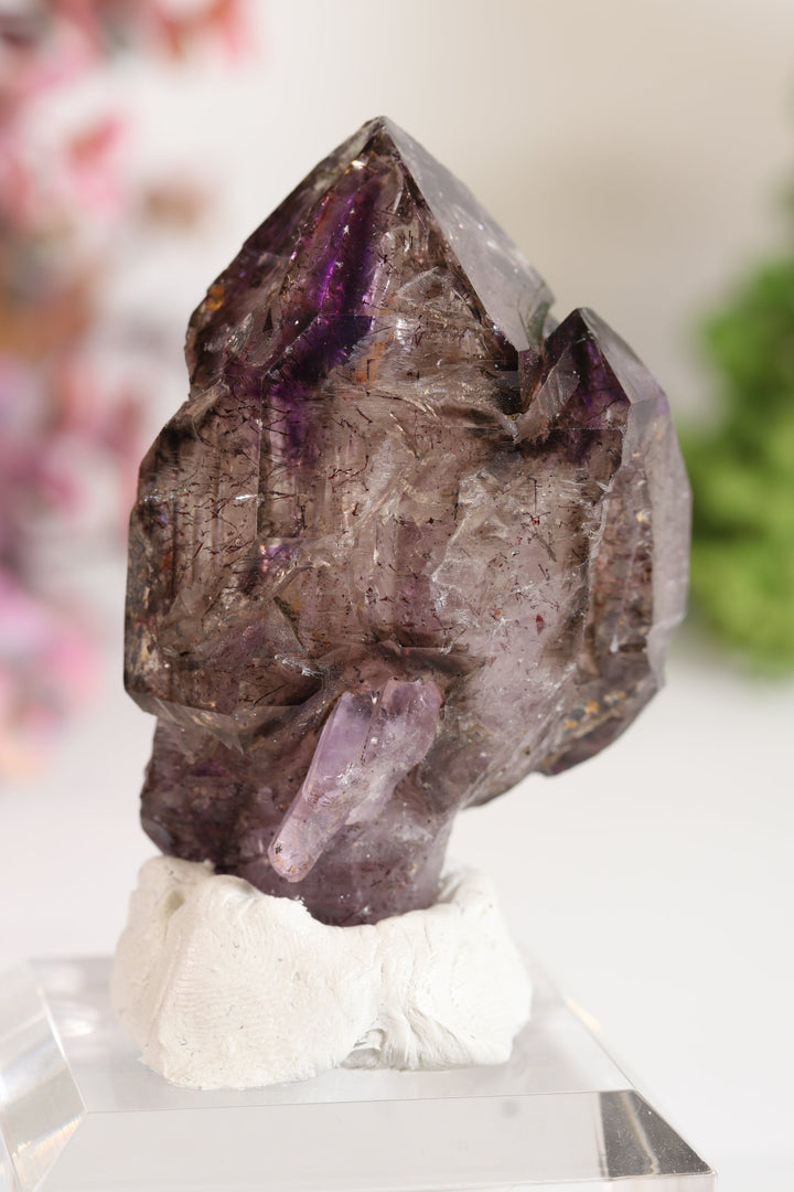 Shangaan Amethyst Sceptor with Enhydro TU2955