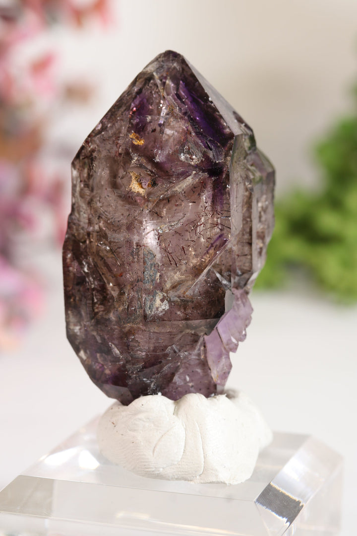 Shangaan Amethyst Sceptor with Enhydro TU2955