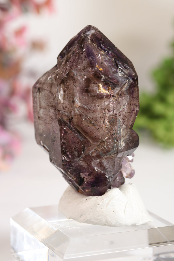 Shangaan Amethyst Sceptor with Enhydro TU2955