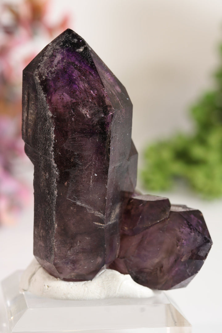 Shangaan Amethyst Sceptor TU2958