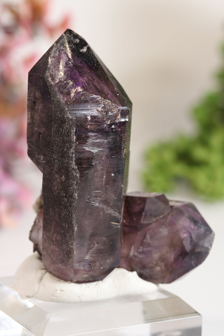 Shangaan Amethyst Sceptor TU2958