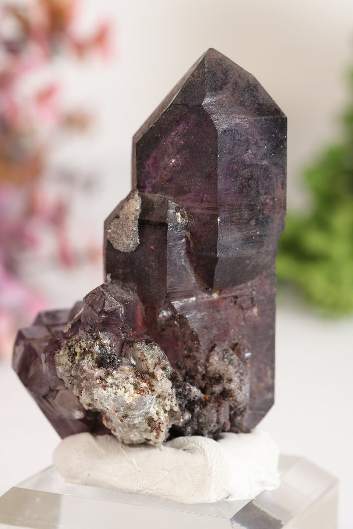 Shangaan Amethyst Sceptor TU2958