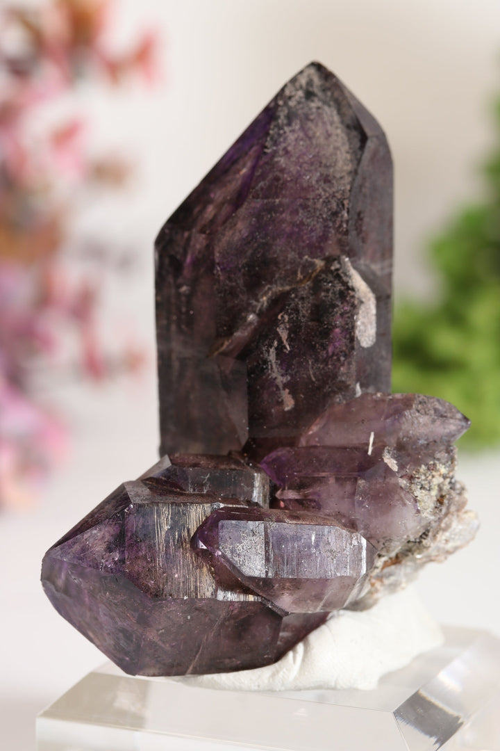 Shangaan Amethyst Sceptor TU2958