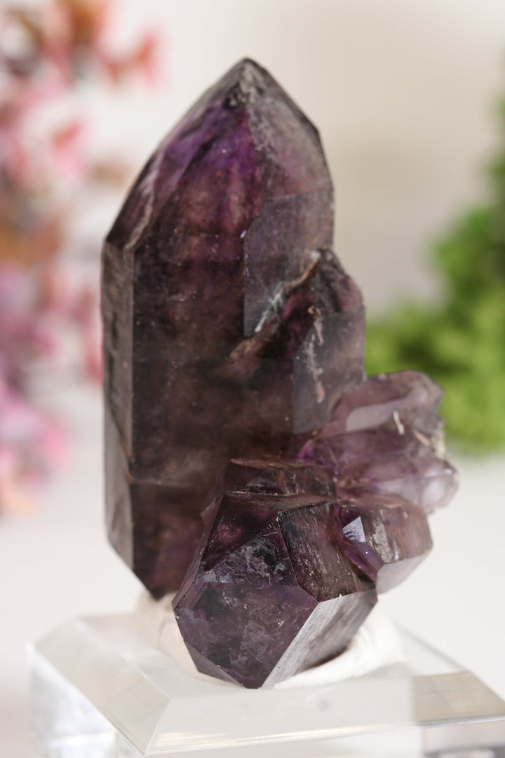 Shangaan Amethyst Sceptor TU2958