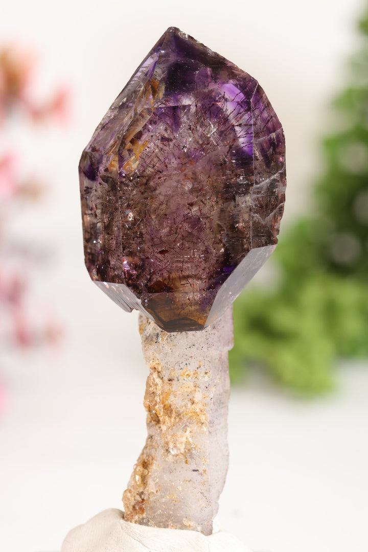 Shangaan Amethyst Sceptor with Moving Enhydro TU2959