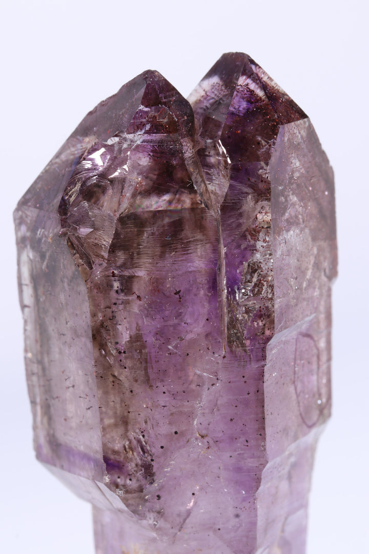 2.75" Shangaan Amethyst Scepter with 2 Enhydros TU2960