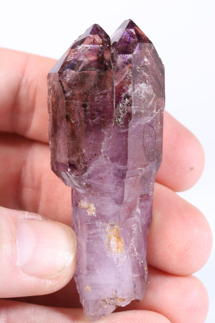 2.75" Shangaan Amethyst Scepter with 2 Enhydros TU2960