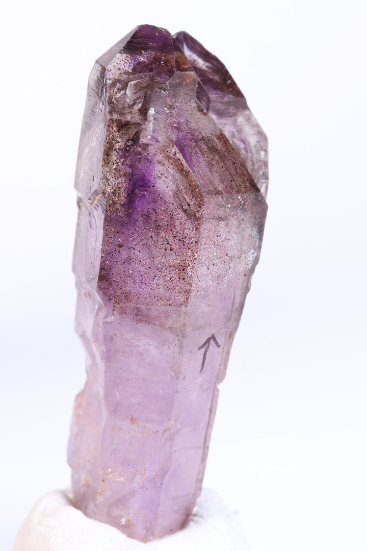 2.75" Shangaan Amethyst Scepter with 2 Enhydros TU2960