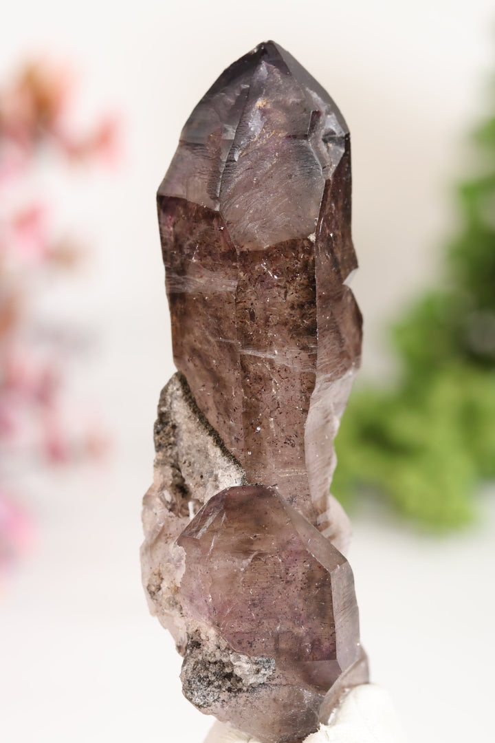 Shangaan Amethyst Sceptor TU2966