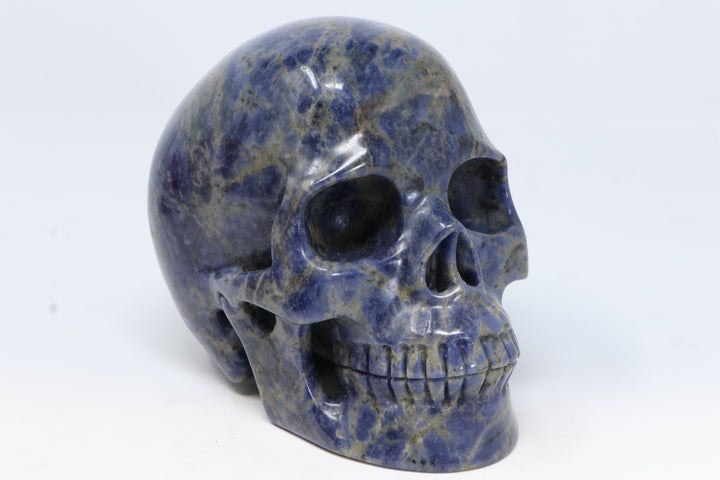 Sodalite Skull Carving TU3017