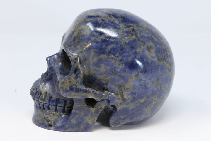 Sodalite Skull Carving TU3017