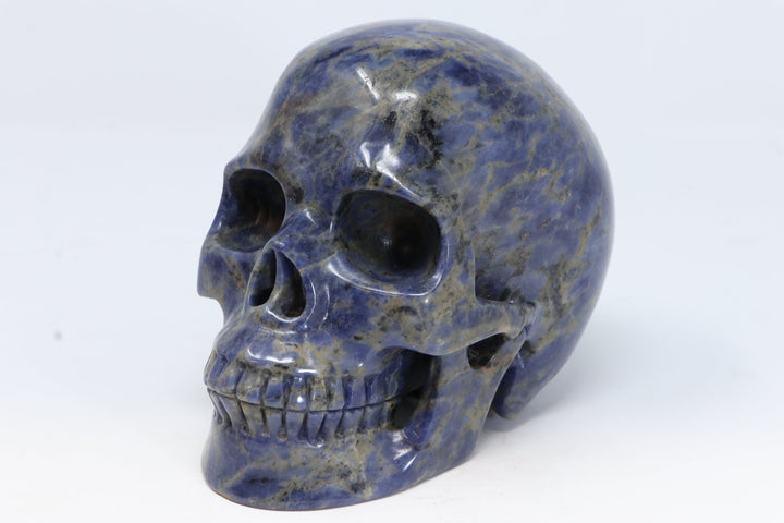 Sodalite Skull Carving TU3017