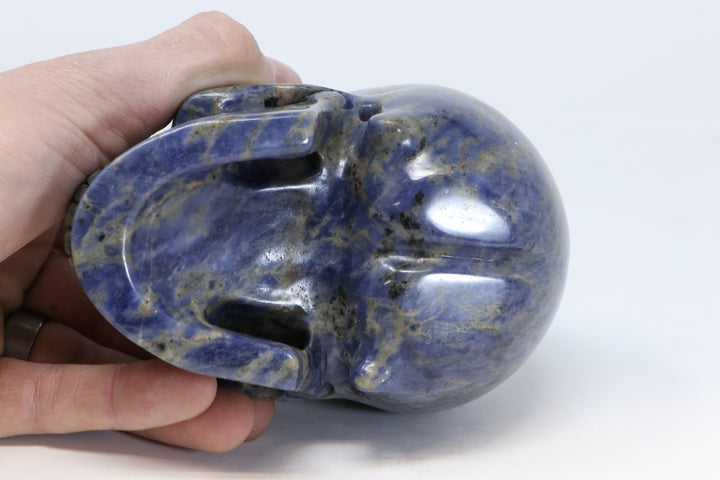 Sodalite Skull Carving TU3017