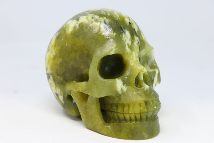 5" Serpentine Crystal Skull TU306