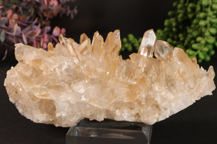 Golden Healer Quartz Cluster TU3335