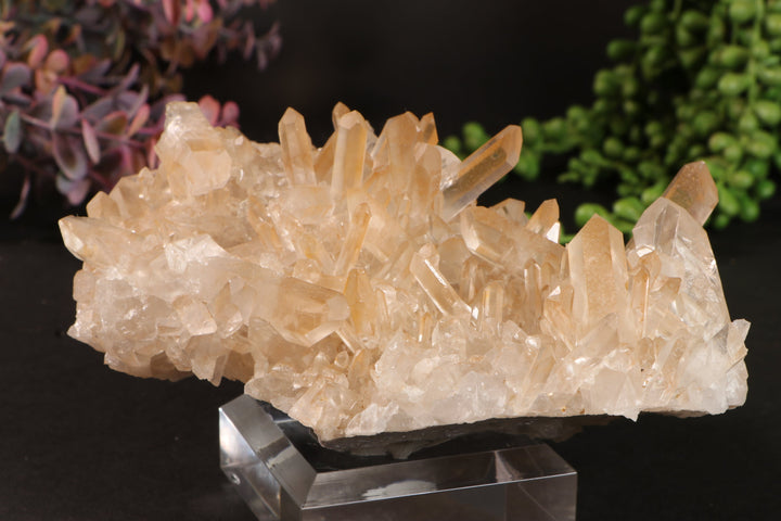 Golden Healer Quartz Cluster TU3335
