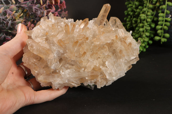 Golden Healer Quartz Cluster TU3335