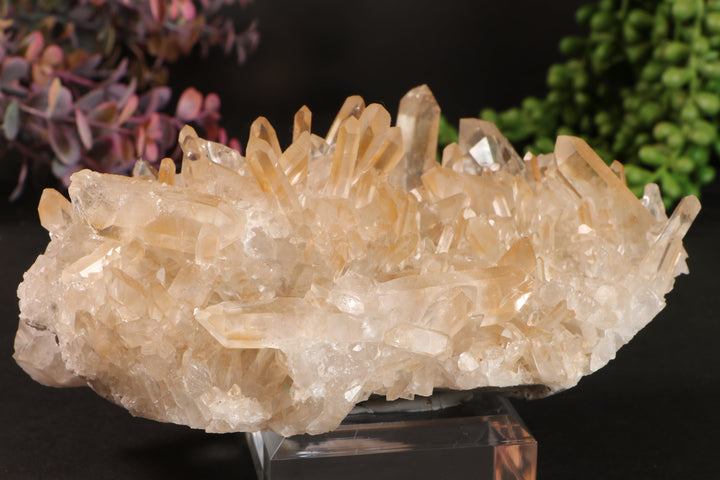 Golden Healer Quartz Cluster TU3335