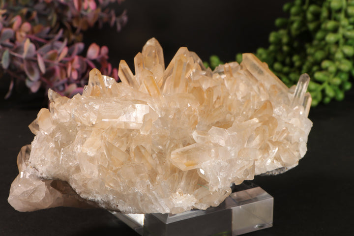 Golden Healer Quartz Cluster TU3335